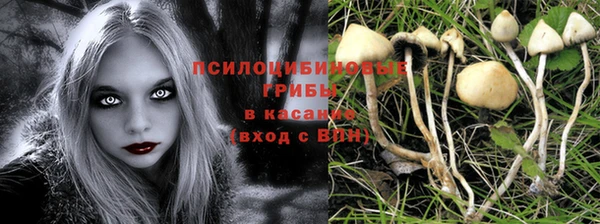 синтетический гашиш Гусев