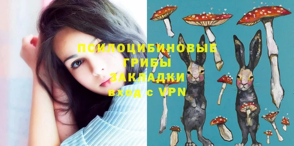 прущая мука Дмитровск