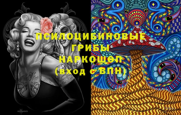 spice Гусиноозёрск